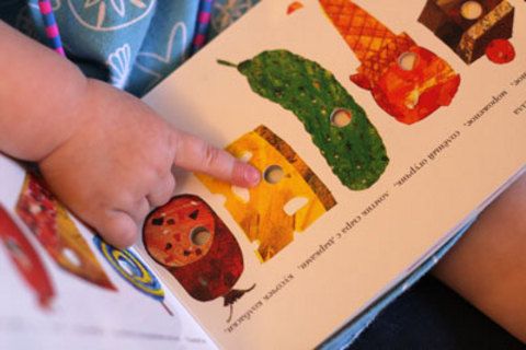 ����� �������� �������� (������-��������). ���� ����