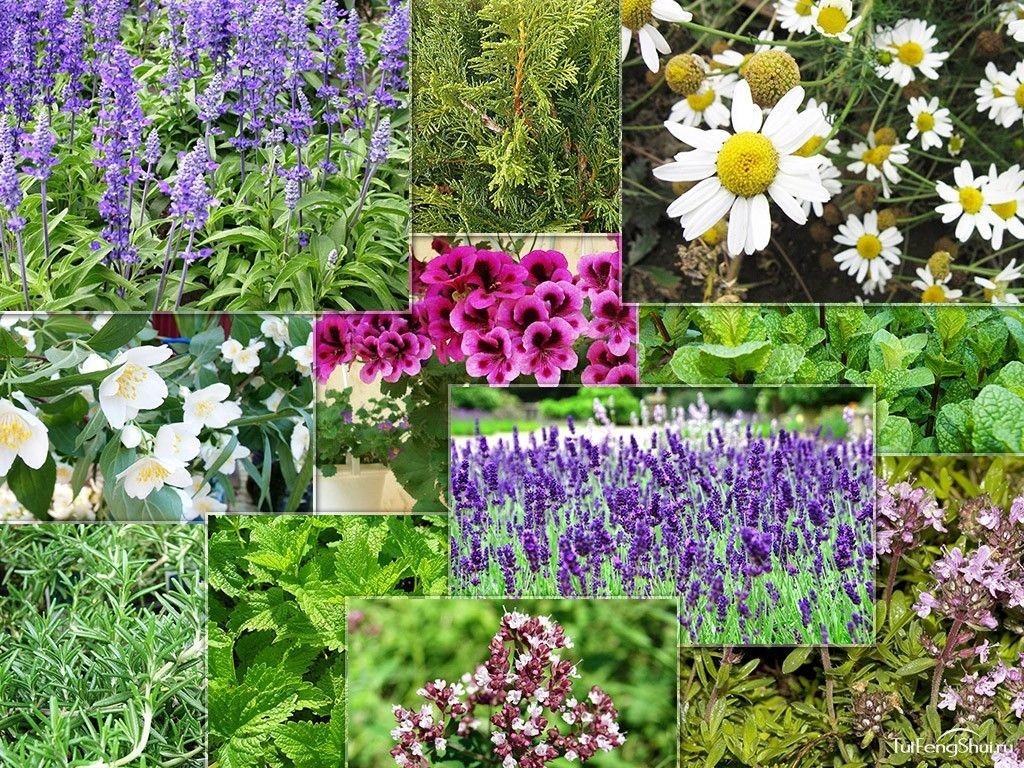 ���� �� 25 ����. ������ ������� ����� �����. ���� ��������� ��������. ����� - �������� � �������! 7-19. 