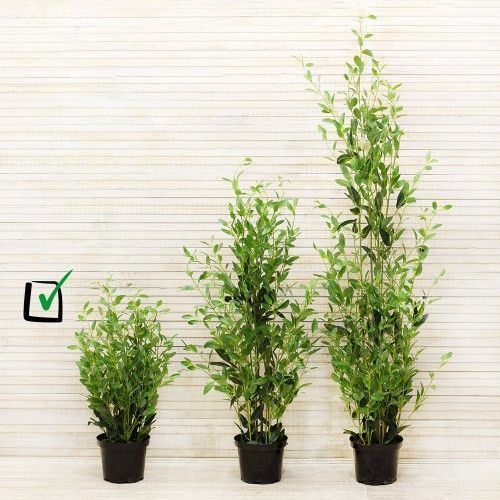 ��������� ��������� �� ��������������� �����!