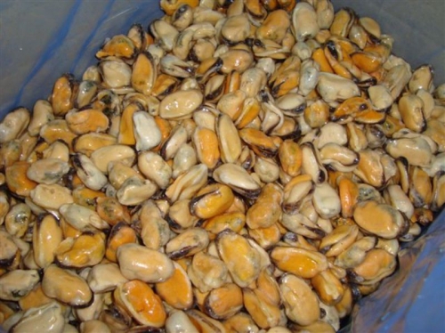 �� ������� �������, �� ������ �������!������ ���� ���� � ����� �������!������ �����, ������ �����,���� ������,��������,������������,��������,��������,���� ������� ���� ,����� ,���� ������ � ������ ���������!