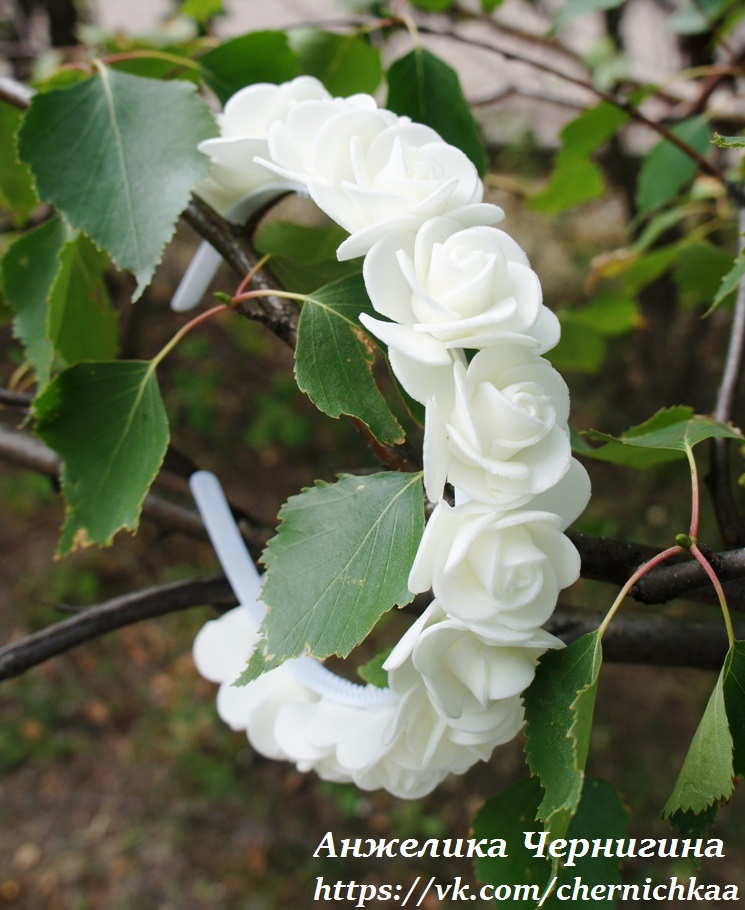 ������ ������� ������ ������ ����� � ������ �� ������� ���������� �������