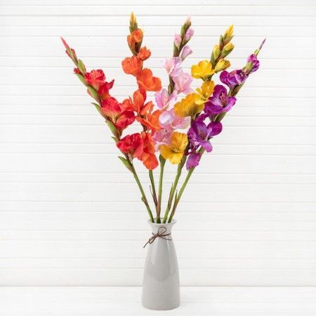 ����������, ������ 74 ��, 136 � ���� ��� �����