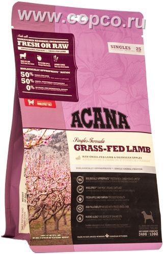 ���� ��� �����. ������� 12.08.2019