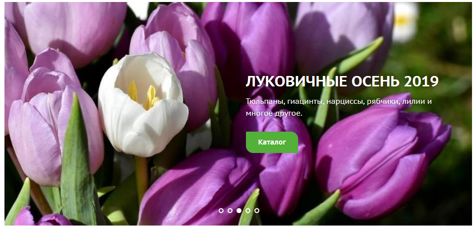 ���������� ����� 2019