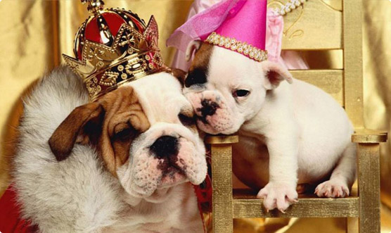 [b]��������-����. ������ 2 ���-���������� 50% Limargy-Lux. �������� ������������ ������ � �����, �������� � ���������� ��� ����� �������� Lux.[/b]