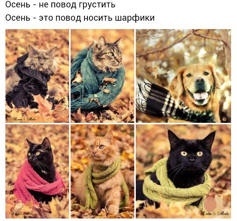 ������� �����, �� ��� �� ����� ��������, ��� ����� ������ ������