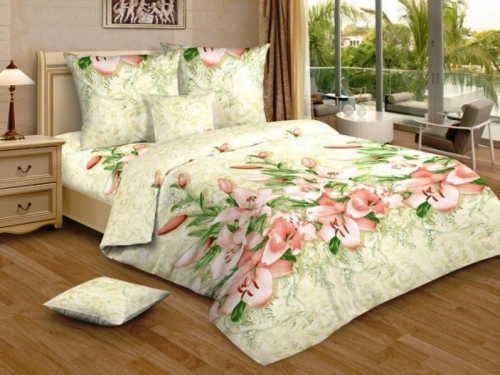 ���� ���� �������������� ������������. �������. 