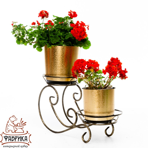 ��������� ������� ��� ������