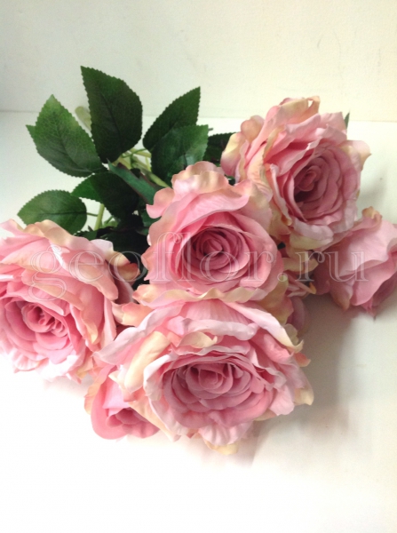 [b]���� �� 21 .08. ������������� ����� , ������ �� 8 ��� , ��������� ����� �� 6 ��� . ����� ��������� �������� �� �������������![/b]