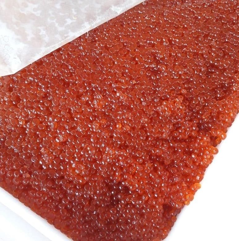 �������+��������� �������� ����