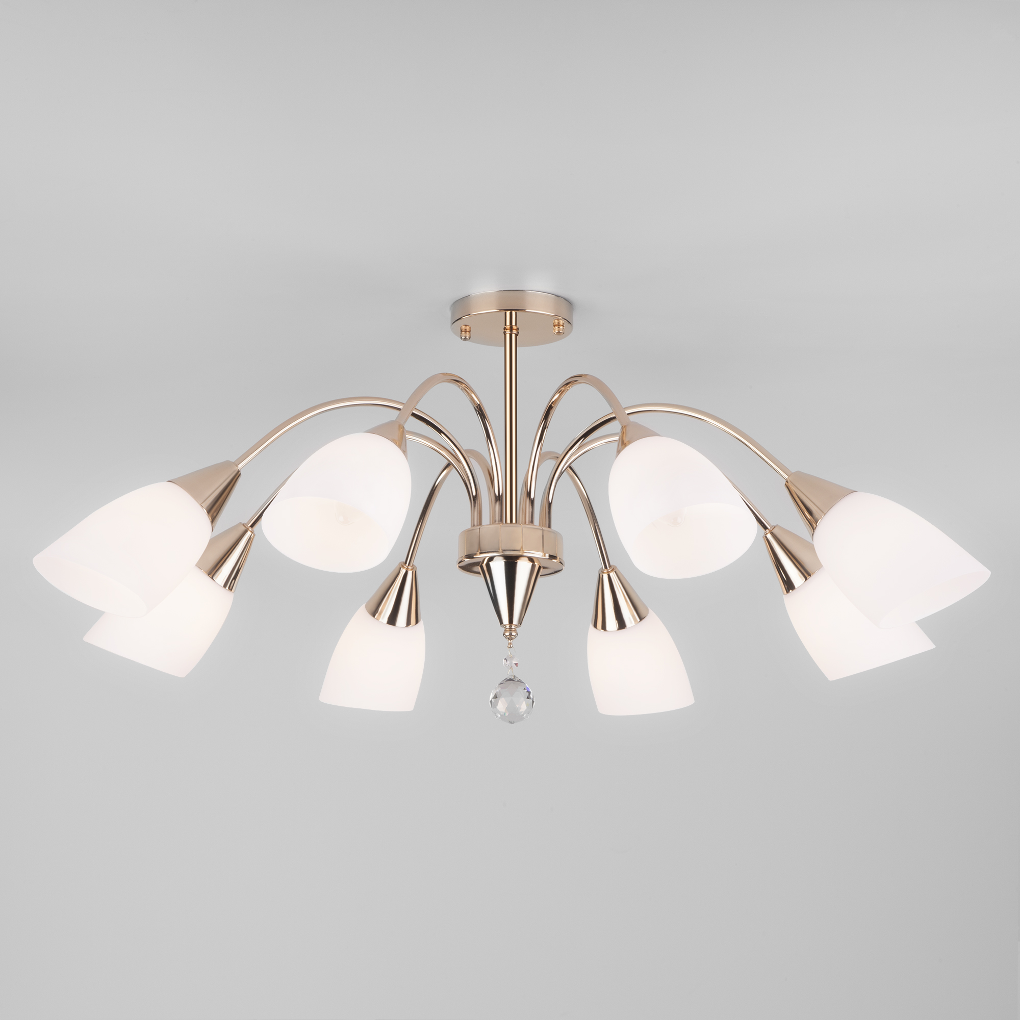 ���� ������� 19/08/ ������. �������� �������