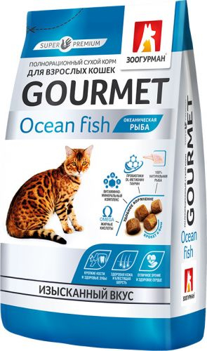 ���� ��� �����. �������� �����������. �������  28.08.