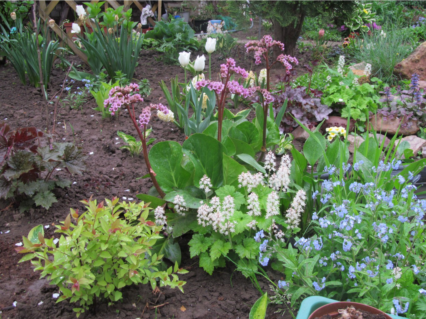 ���� �������. 18.08 ������ ��������! �����, ������������, ����������, ����������, ��������! ����������� ��������. �������� ��� �� ������ �������!