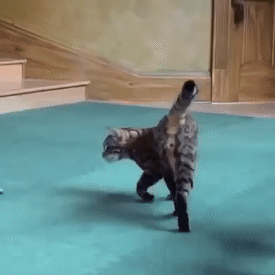 ������. ���������. ��������.