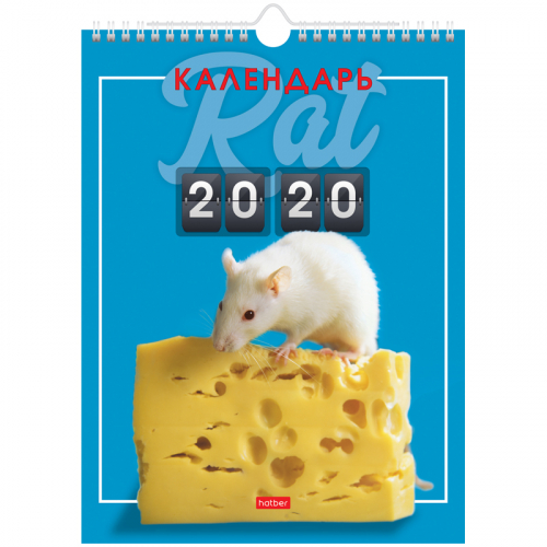 ���� �������. ���������, �����������, ��������,  �� 2020 ���