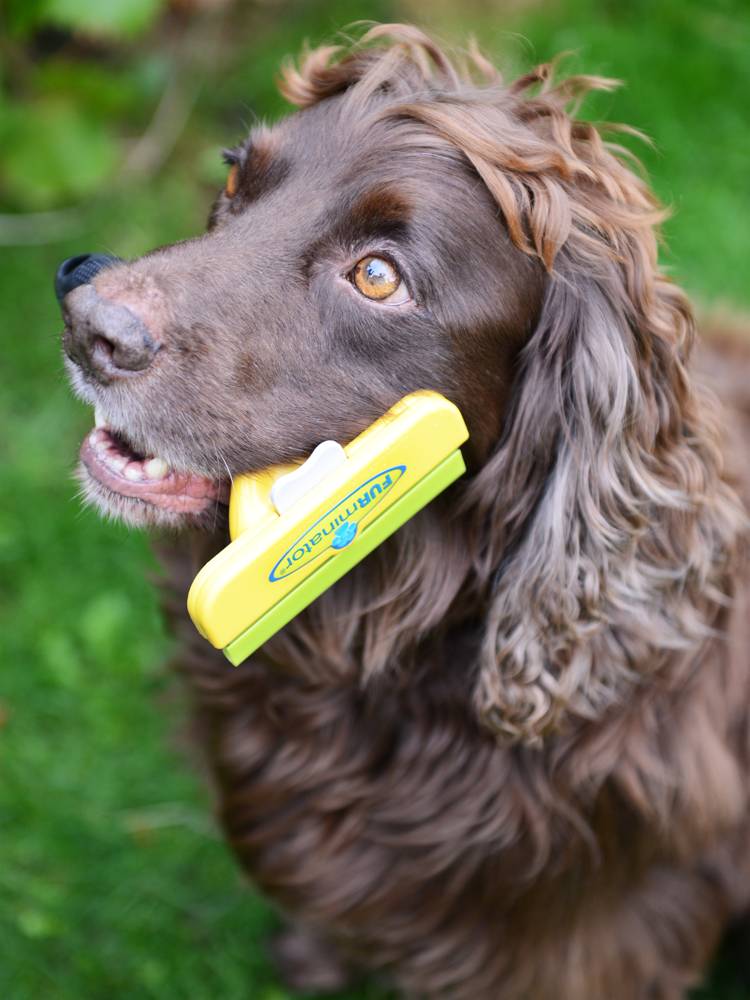 �� ����� ��������! ������� ������� ��� ������! ����������� ���������� ����������! 