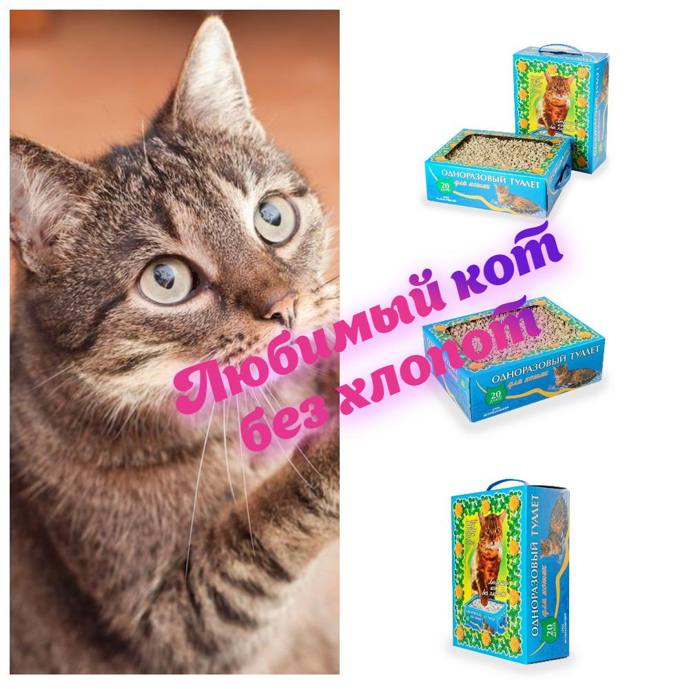 ������� ��� - ��� ������! ����������� ������� ������. ������ �� ���� ���� �����! ������� �������! 