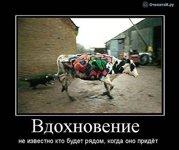 172 ������� �������, � ����� 6 �������� ������. ���������� � ���������������� ���������� - �������, ������, �������� � ������ ������.