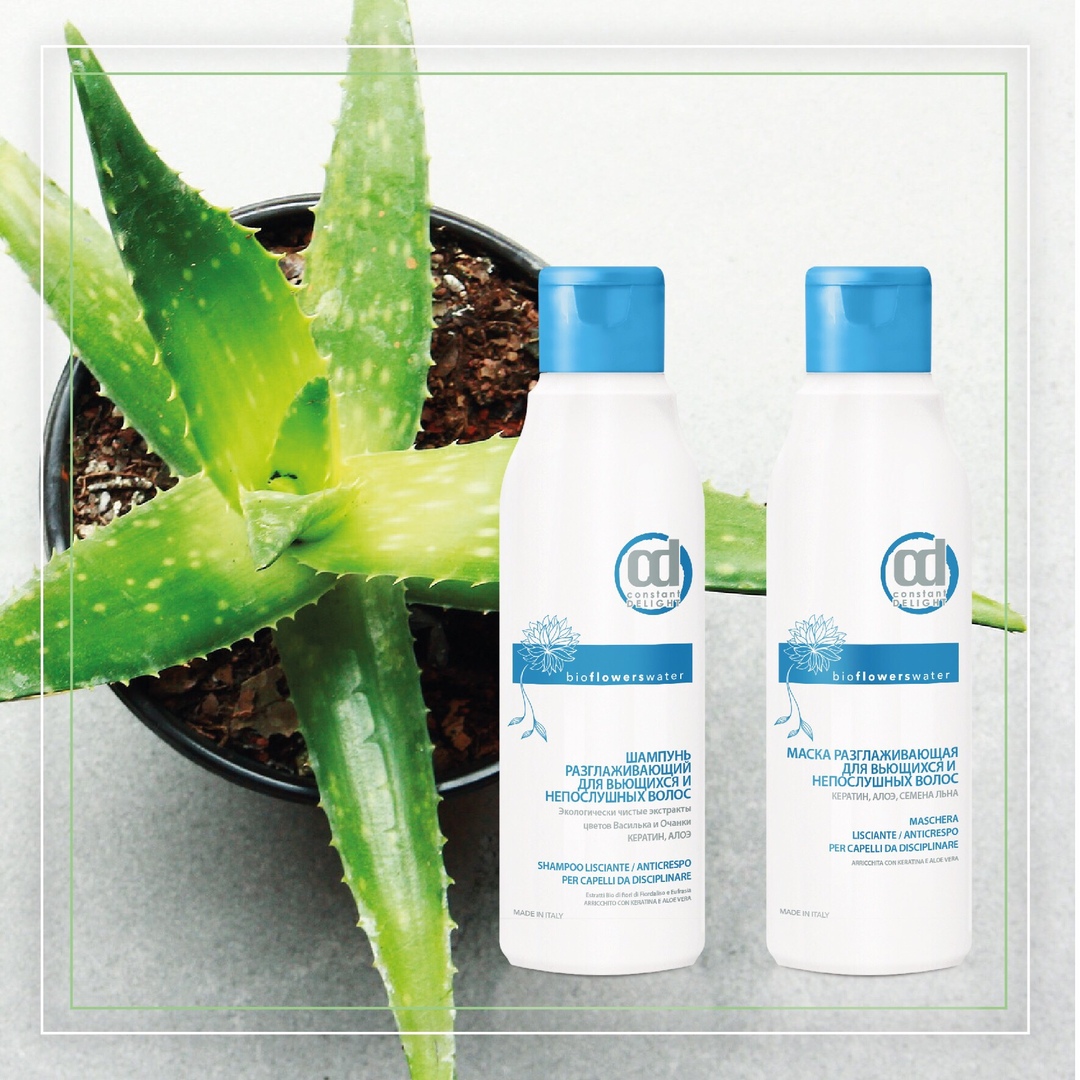 ����! ���� ���� �� �������! ����������� ���������������� ��������� ��� ����� �� Constant Delight. 7/19