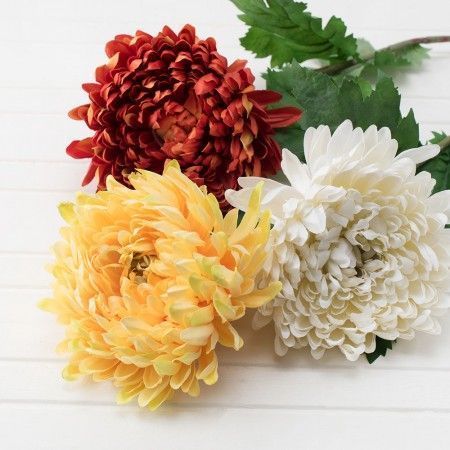 ����������� ������������� �������� � �����, ������, �������! ������ ��� ������ � ���������, �������, ��������