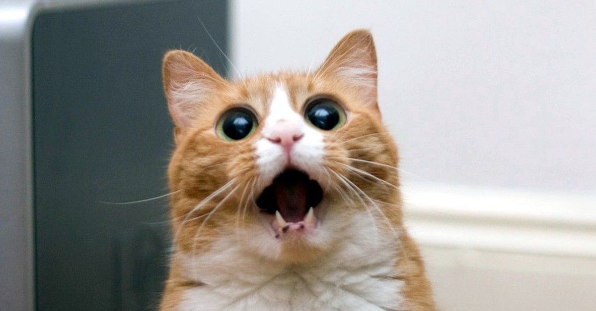 ��� � �������! �� ��������� ����!!! ��� ���� 3%!!! ����� ����� ����� ������!