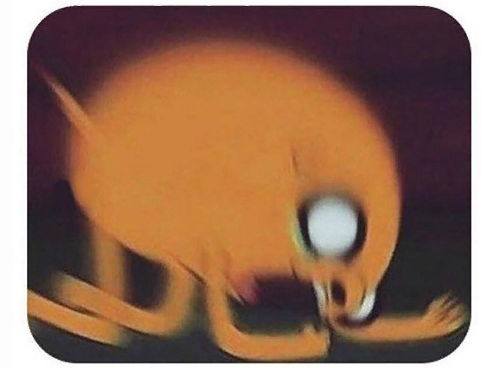 ����� �� ����� ���������������