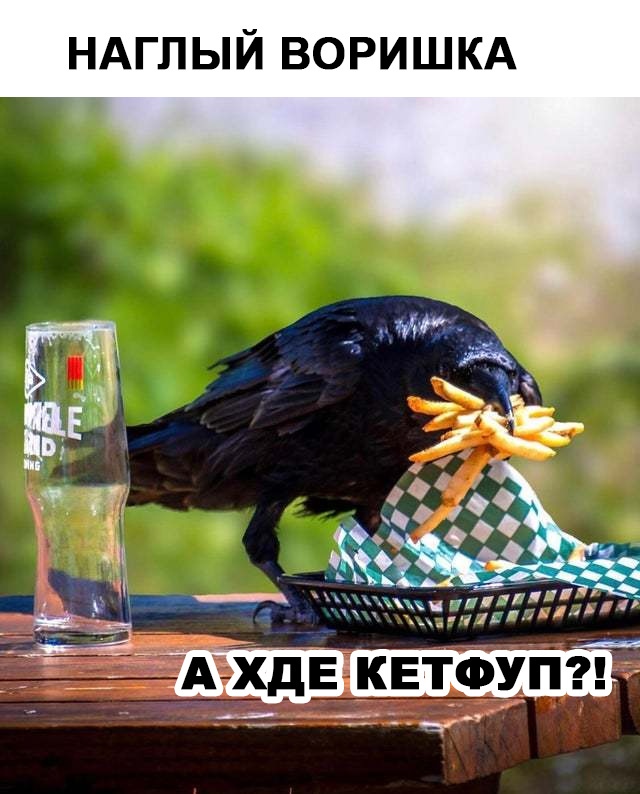 ������� ����