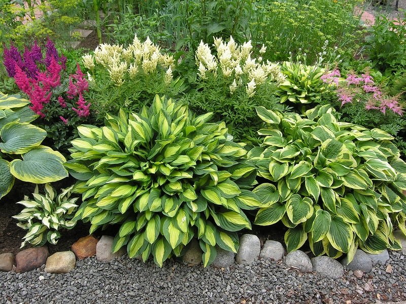 ������� ������! �������� ������� � ��� �� ���������� ������. ��������, �������, �����������-���������� ��������, ������������. �� ���� � 2 ���� ������� �������! ����� No1. 7/19