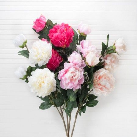 ���� ������� �������. ��������� ����� �������!