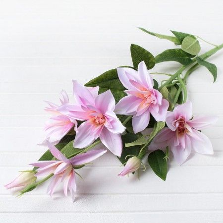 �������� ������� 