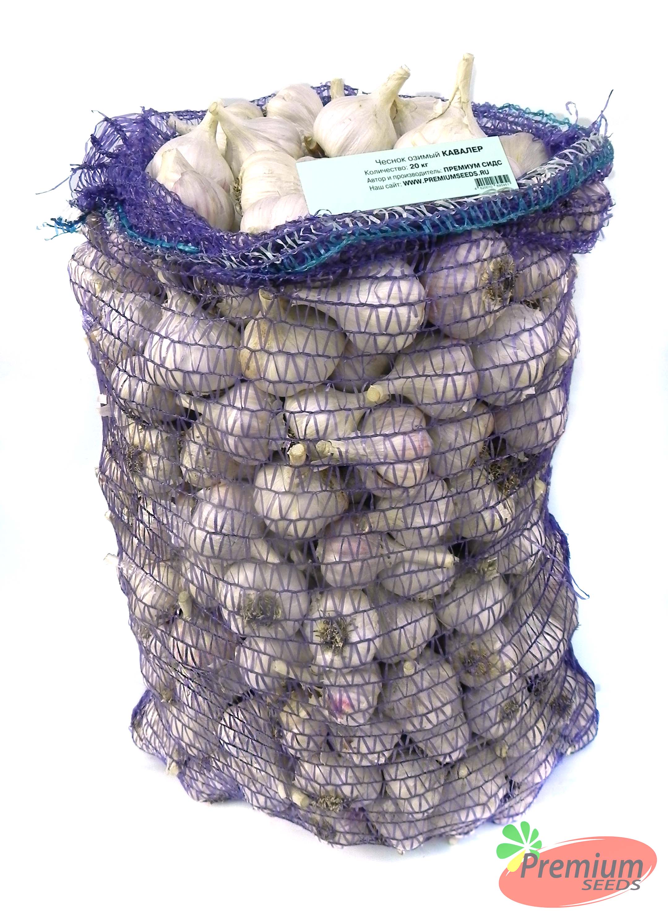 ������ ������ (������� ��������)