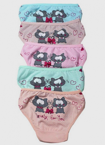 ���� 28.08. ���� �������. ������� ������� � �������. ������� ��� ������ � ������ ����� � ����. ���� ����������