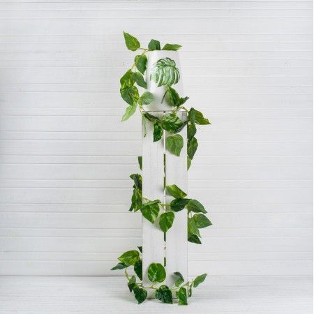 ����� ����������  � ����� �����, ����� ��������, � ����������  ������ �� ������! ������ �������� ��������� ���������