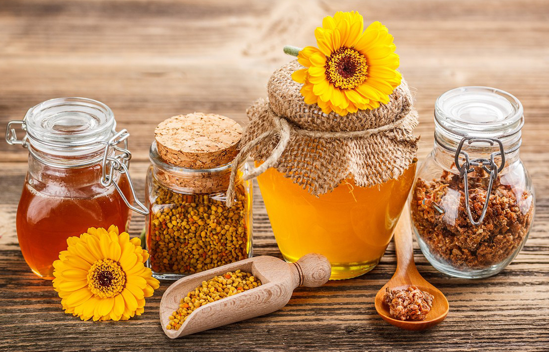 ���� �� 1 ��������. ������� - ����� ��������.���, �������������, �������� ����� � �������.