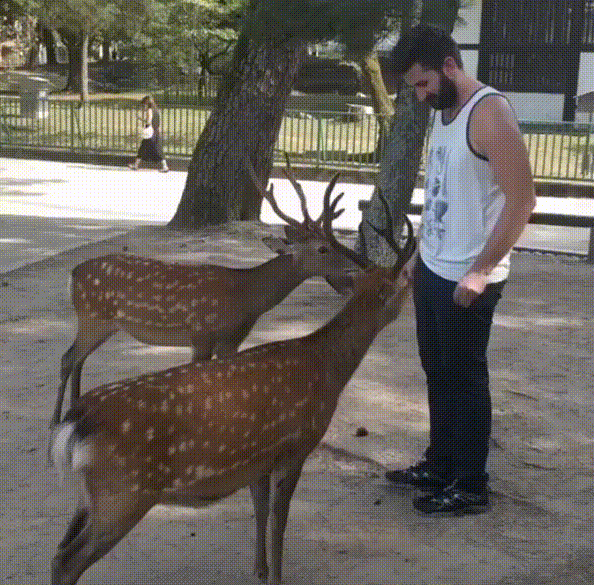 B ������ �������� ���� �����