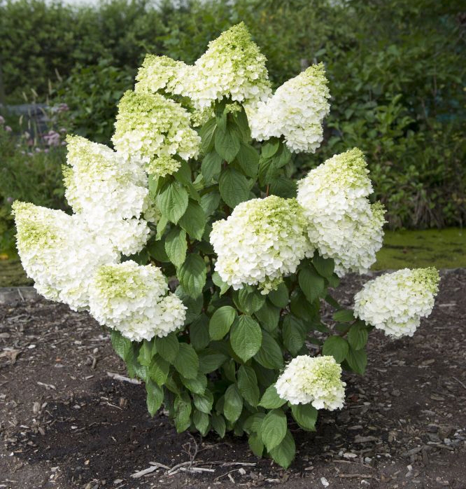 ���� �������. ��������. ��������� ���� � ���� ����! ������� ������ � �������! ���� ��� ����� ����� ��� ���������� �������� ���. �������� �������� �� ��������� ������� �����! ������������ ����������, ��������, ��������, ������������. ����� 16