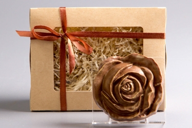 ���� �������. ���������� �������.