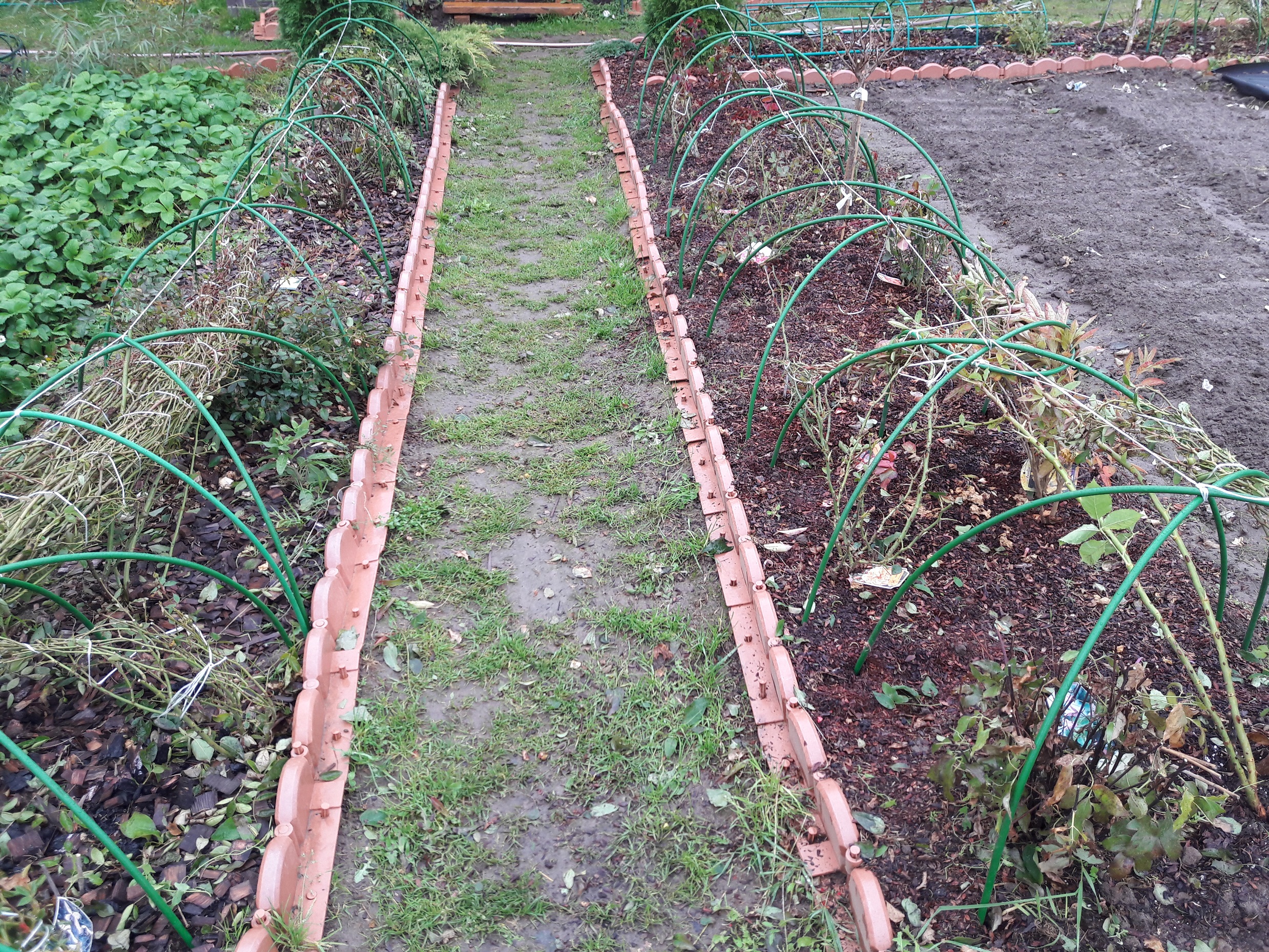 ���� ��� ������� ��� � ������ ��������! ������������ �����! ����� ������ ���������� �� �������! � ��� ��, ��������������, �������, ����, ������������ ����������. �������� ��������, ������.