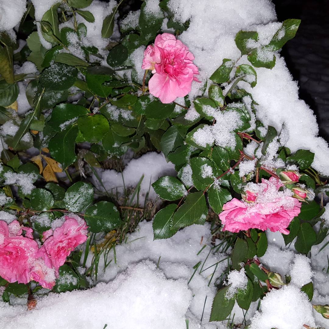 ��������� � ����! ���� �������. ���� ��� ������� ��� � ������ ��������! ������������ �����! ����� ������ ���������� �� �������! � ��� ��, ��������������, �������, ����, ������������ ����������. �������� ��������, ������.