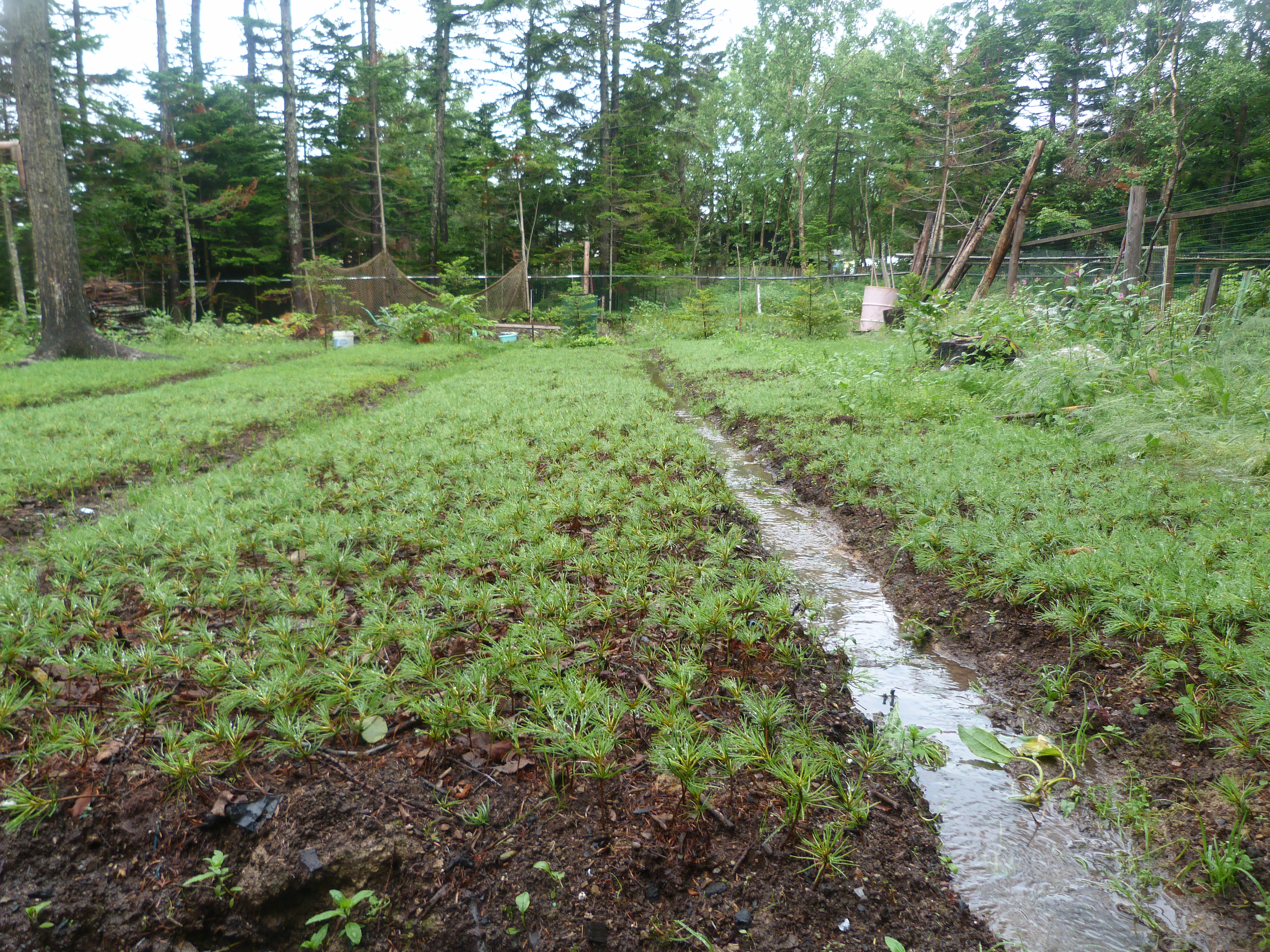 ����� ��������! ������� �����. ���������. �������� �� 12 ����� ����� 04.09. 