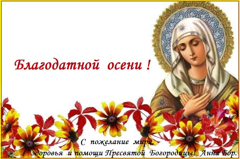 ������  �  ��������������  ���������  ���������� !