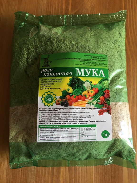 ���� �� 21.09. ������� ������ � ���������� ������. ������������ ��������� ��� ���� � �������. ������� ����, ���������, ����������, � ��� �� ��������� � ������� ���������. ������������������ ���������������� ����������. ������� �������. ��������.