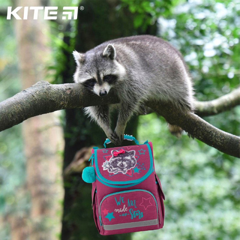 ���� �� 13 ��������.���� ����������!!! ������� ��������������� �������� TM KITE: �������, ����-�����, �����, ������, ����� ��� �����, �����, ��������. ����� �� ������� ���, ����� ������ ������� ���� ��������� ������� � ������� ���������! ����� -13