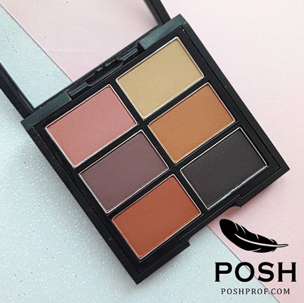 ������������ ��������� � ���������������� ���� ��� ������ �� Posh Professional. 