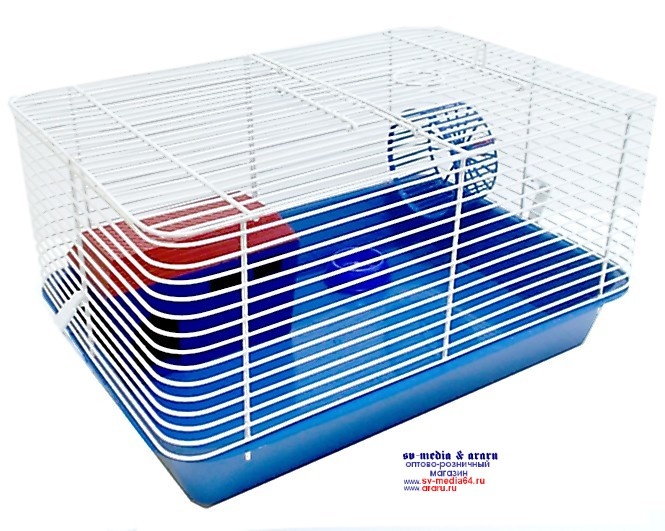 ������ ��� �������� � ����. ��������������. ������� 09.10.