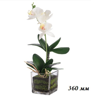 �������!!! 