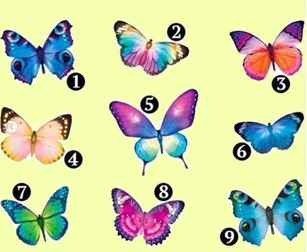 �������  ����