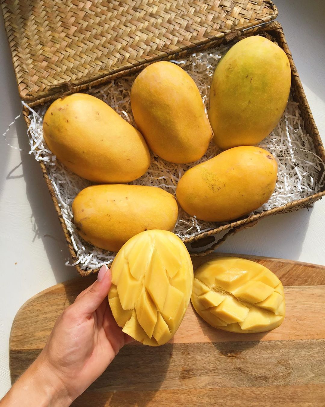 ����� ����� �����. ���� ���������� ����� ����� ����������, ��� �� ����� ����� ����. ���� ������ ������.