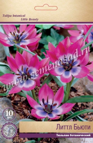 �������� ���������� ��� ��������!