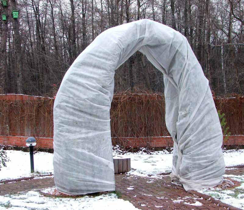 ���������. �������� ���������, �������, ��������. ��������� �����.